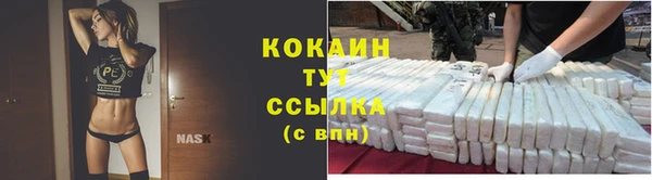 спайс Беломорск