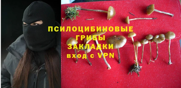 спайс Беломорск