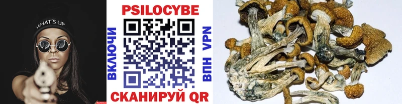 Псилоцибиновые грибы GOLDEN TEACHER купить закладку Колпашево